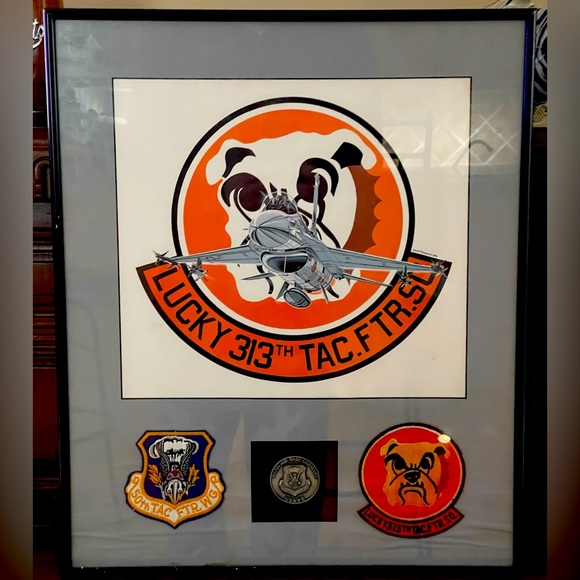 Framed US Air Force 113th Tactical Fighter Squadron Collectables. - Picture 1 of 5